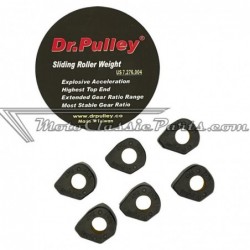 Rodillos especiales DR PULLEY SR 25X19  16 gr SR250190W160