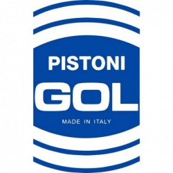 Pistón / Piston kit HIRTH MOTOR O151 1972 10HP Industriale-Ref.0913