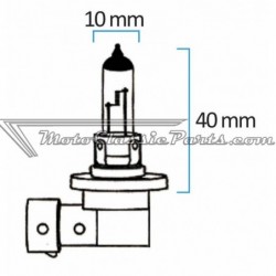 Lámpara Halógena H11 12V 55W H11