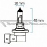 Lámpara Halógena H11 12V 55W H11