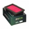Filtro de Aire Hiflofiltro HFA4613