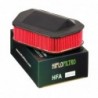 Filtro de Aire Hiflofiltro HFA4919